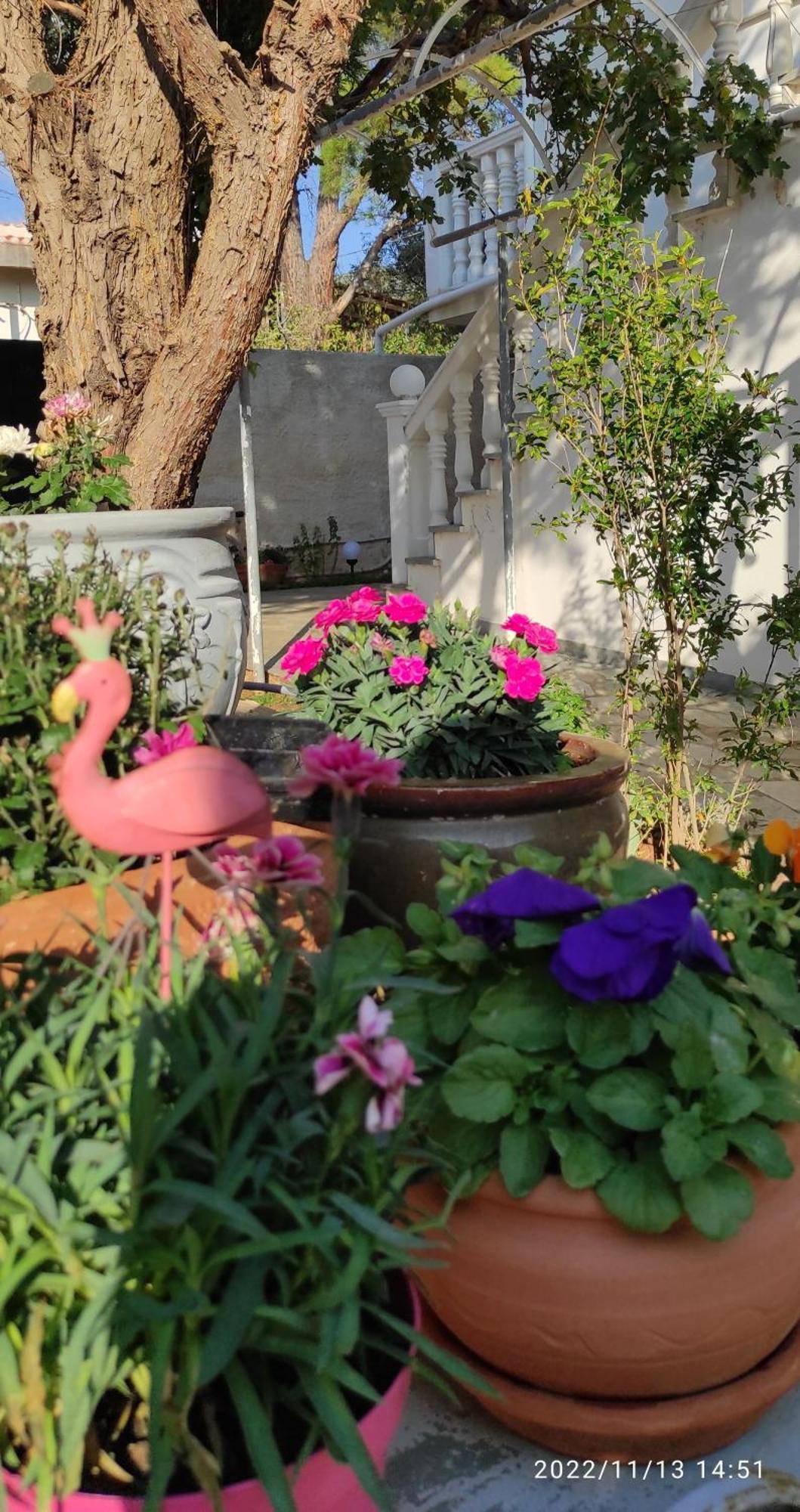 Secret Garden Home Lagonissi Attiki Foinikiá Exterior foto