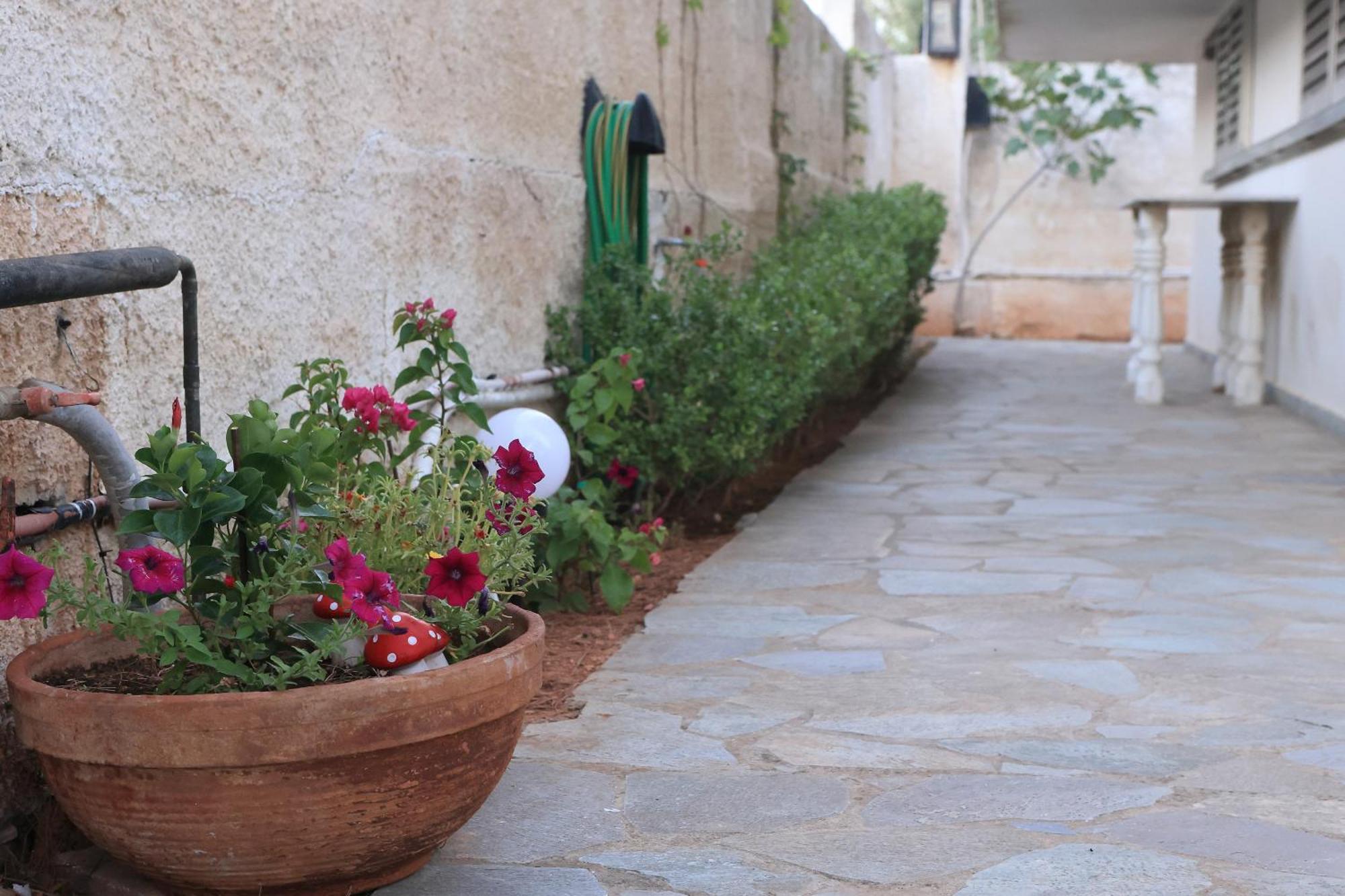 Secret Garden Home Lagonissi Attiki Foinikiá Exterior foto